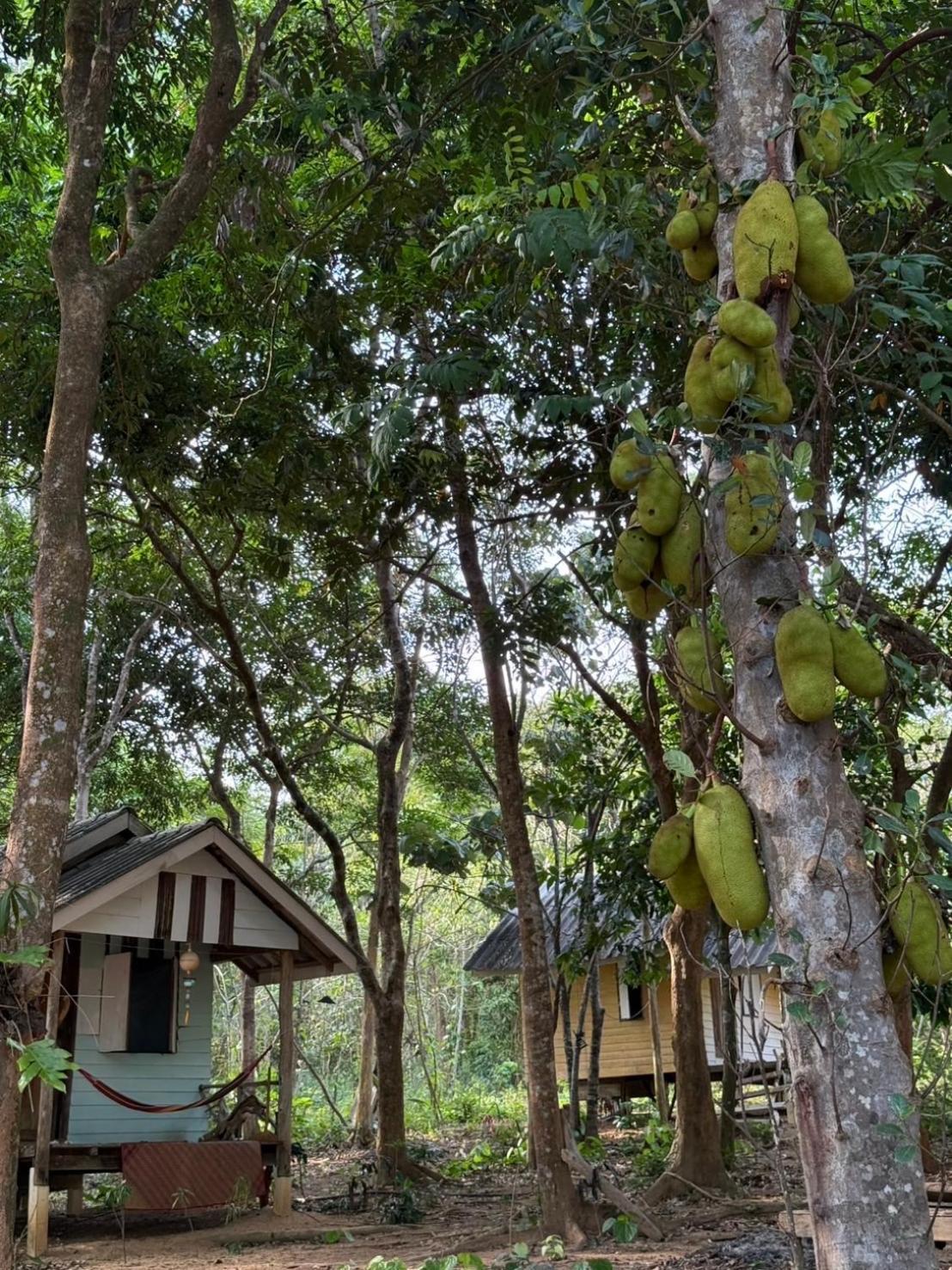 Eternal Forest Beach Bar&Bungalow Koh Chang Ranong Exterior photo